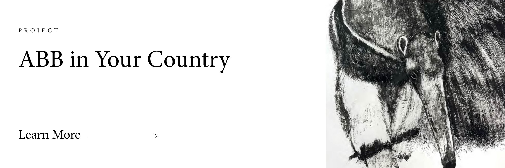 PROJECT — ABB in Your Country（Learn More）